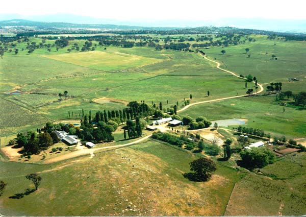 Aerial view across homes and streets in Bruce, Canberra